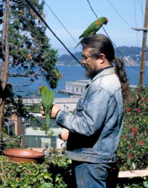 CalendarPick-TheWildParrotsOfTelegraphHill.jpg