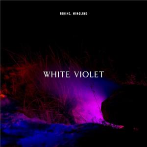 TopTenAlbums2012-WhiteViolet.jpg