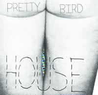 pretty bird house.jpg