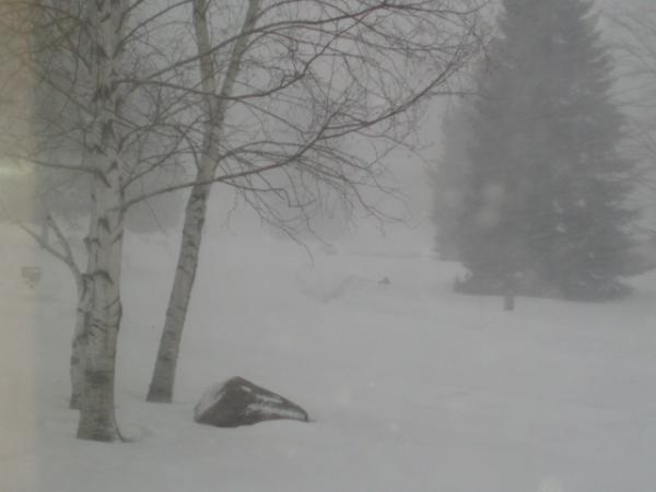 snowstorm.jpg